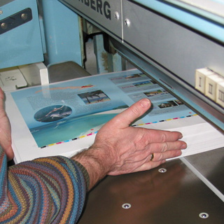 Flyer and Brochure Printing